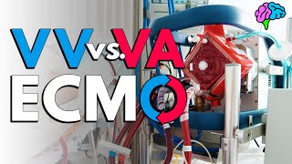 VV vs VA ECMO Explained [upl. by Rtoip]