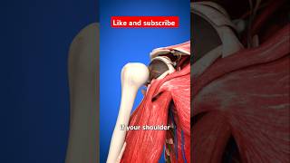 Does dislocating your shoulder actually hurt shorts foryou funny relatable [upl. by Tirb]