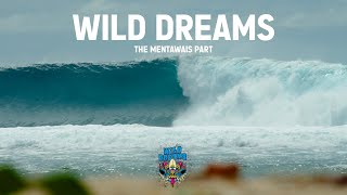 Je surf un SPOT DE RÊVE aux MENTAWAIS WILD DREAMS  The Mentawais Part [upl. by Winters201]