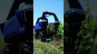 Vitibot Bakus  The HighTech Robot Transforming Vineyards [upl. by Raimondo]