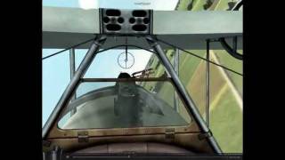 Rise Of Flight Nieuport 17 Vs Albatros DIII [upl. by Niliac]