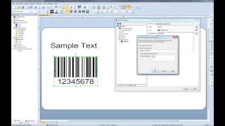 VB Scripting in BarTender 2016 Recorded Webinar [upl. by Adiehsar]