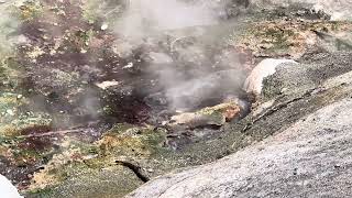 Hot spring in Yellowstone [upl. by Ramoj]