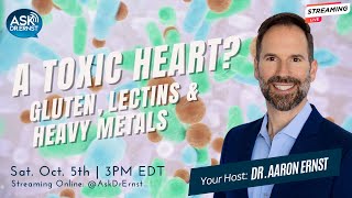 10525  Gluten Lectins Heavy Metals amp Heart Diseasemp4 [upl. by Nide]