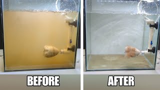 DIY Fish Tank Filter  How to make aquarium filter at home [upl. by Drusilla316]