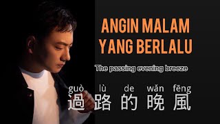 過路的晚風海來阿木  Guo Lu De Wan Feng  Hai Lai A Mu  Chinese Song  Pinyin  Mandarin Song [upl. by Nhguavoj]