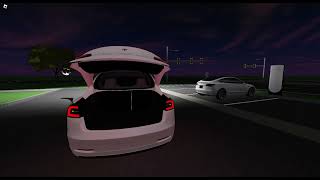 tesla light show tesla model 3 2018 [upl. by Gunilla]