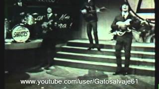 Los Shakers TV Clip 1966 Argentina  Rara edicion de epoca [upl. by Vitek]