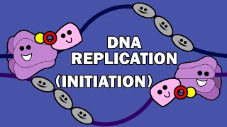 DNA REPLICATION 13  INITIATION [upl. by Othelia]