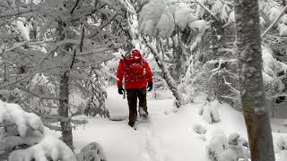 Hiking Adirondacks In Snowstorm [upl. by Mcnully763]