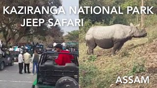 Kaziranga National Park Assam Jeep safari  Rhino gets mad in park  elephant  Jungle Safariassam [upl. by Irahk986]