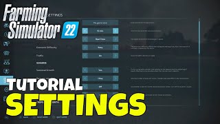 Farming Simulator 22 Settings Explained [upl. by Igor66]