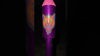 BIG ROCKET  TIGER FIREWORK ROCKET  shorts fireworks [upl. by Chouest]