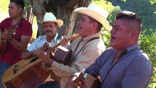 Mariachi Las Maravillas Barrio Alegre [upl. by Toshiko]