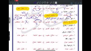 قدرات لفظي  الجزء الثاني تأسيس تناظر لفظي [upl. by Ahseiyn]