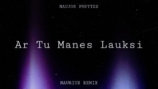 Naujos Pupytes  Ar tu manes lauksi  NAURIUX REMIX [upl. by Marl]