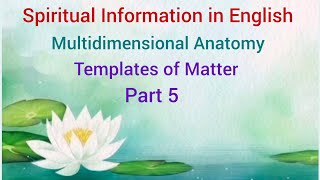 Multidimensional Anatomy  Templates of Matter Spiritual Information in English Part 5 [upl. by Caplan]