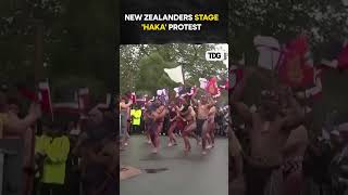 watch New Zealanders Stage HAKA Protest march towards Wellington against Indigenous Treaty Bill [upl. by Giacinta]