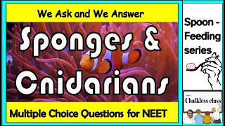 Sponges and Cnidarians in NCERT BIOLOGY [upl. by Rosita694]