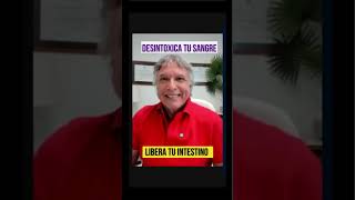 Intestino Delgado La Clave para Desbloquear tu Salud [upl. by Clintock630]