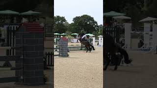 Us at hickstead qualifying for the main ring bellarose horsesaremylife competition horses [upl. by Sigismondo]