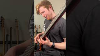 FRETLESS BASS Is The Most Beautiful Instrument EVER Part 1 [upl. by Quincey426]