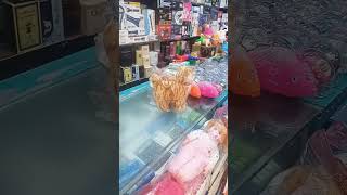 shopping center bathA k s a automobile youtubeshorts shortsvideo [upl. by Htebazil]