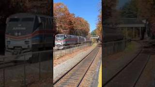 Amtrak Lakeshore Limited 449 with 130 phase 2 heritage unit in Wellesley farms MA shorts [upl. by Nela]