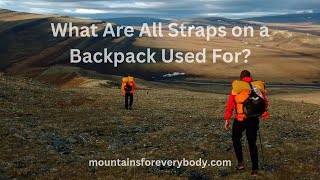 What Are All Straps on a Backpack Used For [upl. by Petey]