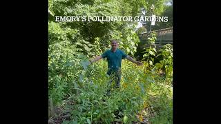 Emory Pollinator Garden Tour [upl. by Isiahi]