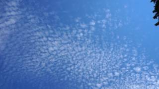 Time lapse of cirrocumulus passing over Albuquerque [upl. by Ramilahs]