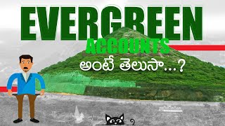 ఎవర్ గ్రీన్ అకౌంట్స్ అంటే ఏంటి  RBI ఏం చెప్తుంది  viral finance banks nbfc rbi trending [upl. by Llerreg]