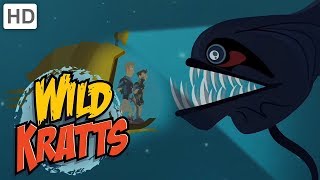 Wild Kratts  Top Season 4 Moments 77 Minutes  Kids Videos [upl. by Augustin]