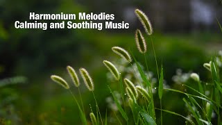 SoulStirring Harmonium Music to Calm Your Mind  Peaceful Harmonium Sounds for Meditation amp Healing [upl. by Suinotna]