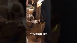 Sacerdotes católicos cantan a Cristo Rey en medio del desastre de la DANA en Valencia España [upl. by Mages797]