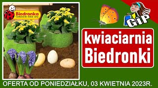 BIEDRONKA  Oferta od Poniedziałku 03042023  Kwiaciarnia Biedronki  Tanie Kwiaty [upl. by Licec137]