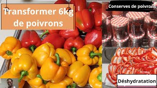 Comment CONSERVER LES POIVRONS afin den avoir même en HIVER Manger les légumes dété en HIVER [upl. by Komara]