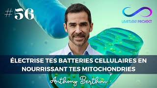 Électrise tes batteries cellulaires en nourrissant tes mitochondries  Anthony Berthou [upl. by Girovard]