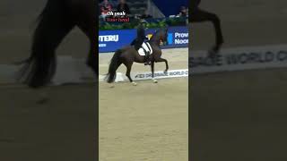 Dressage needs to STOP with hyperflexion read the description abuseprevention dressage [upl. by Avruch67]