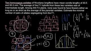 Quantitative Genetics  How to find number of genes controlling the trait [upl. by Jeffie667]