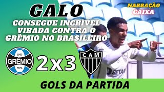 GALO vence o IMORTAL TRICOLOR de virada nos acréscimos  GOLS NARRAÇÃO  MÁRIO HENRIQUE CAIXA [upl. by Lorry]