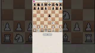 Evans Gambit first variation chess learnchesstrapin30seconds chessgamechessopening [upl. by Yerak]