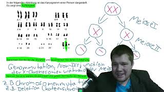 ABITRAINING  Genetik 1 Karyogramm  Analyse und Mutationen [upl. by Stclair]