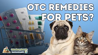 7 OTC Human Medications Safe and Effective for Dogs [upl. by Nolie]