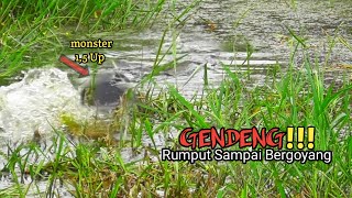 GILAA  CASTING IKAN GABUS KETIKA AIR SURUT TAK TERDUGA UKURAN MONSTER BERHASIL DI DAPAT AS194 [upl. by Nerag383]