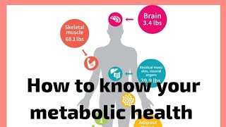 How to judge your metabolic healthWith Bengali version [upl. by Noiraa269]