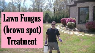 HOW TO Apply Fungicide to Treat Brown Spot in Your Lawn [upl. by Dazraf443]