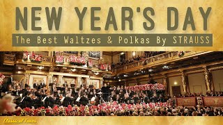 Wien Classics  NEW YEARS DAY CONCERT  The Best Waltzes amp Polkas By Strauss [upl. by Aicaca810]