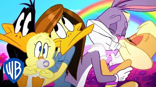 Looney Tunes  Couples Goals  WB Kids [upl. by Akehsyt]