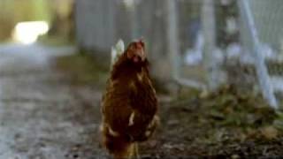 Jung von MattLimmat Migros TV Spot Huhn quotChocolatequot [upl. by Etsyrk]